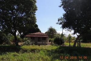 Foto propriedade