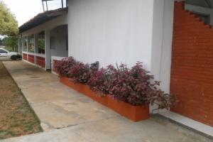 Foto propriedade